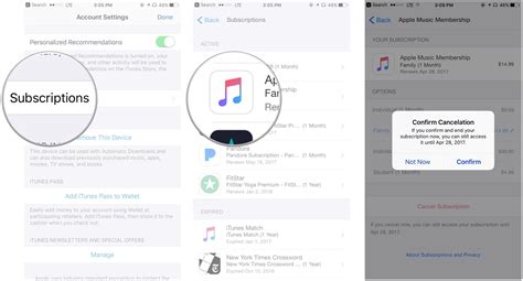 how to cancel apple music on iphone: exploring the various ways to manage your subscription