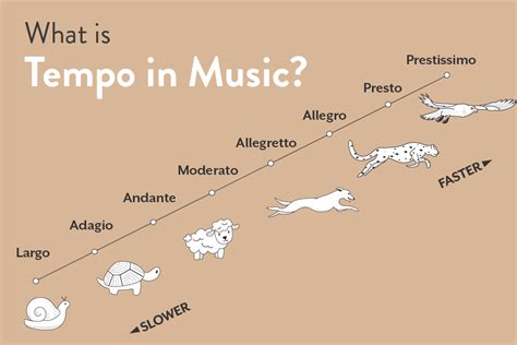 what is a back beat in music and how does it influence the tempo of a song